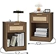 OAKHAM HOME Nightstand Set of 2, Rattan Night Stand with Type-C Charging Station, Bedside Table with Drawer, Boho Bed Side Table End Table Accent Table for Bedroom Living Room (Special Walnut)