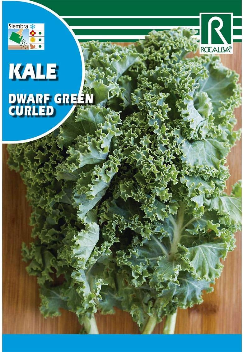Semilla Col Kale - Rocalba: Amazon.es: Jardín