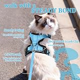 rabbitgoo Cat Harness and Lead Set Adjustable Escape Proof Sky Blue XS view 5