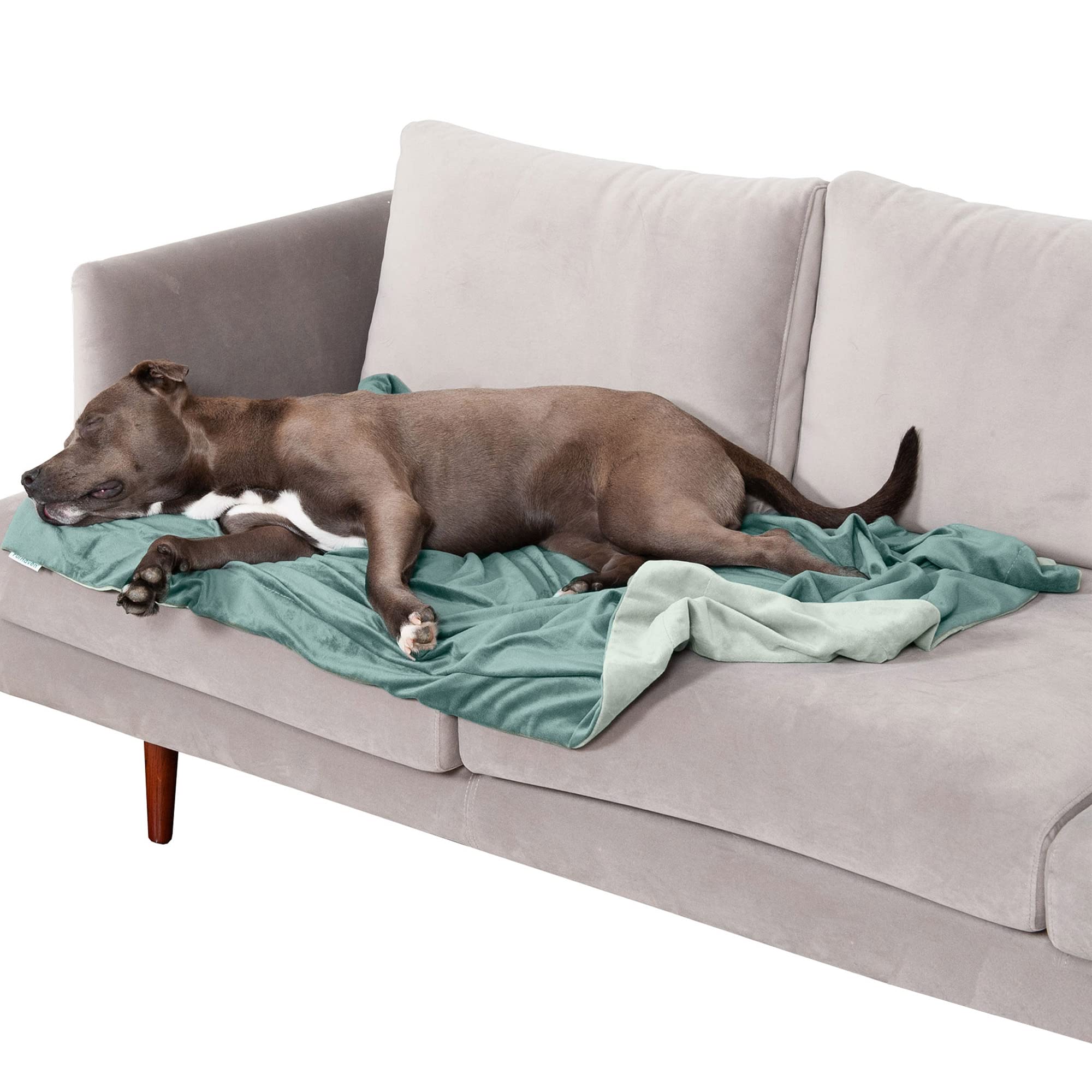 Furhaven Large Waterproof Two-Tone Luxe Velvet Dog Blanket, Washable - Celadon Green, Large