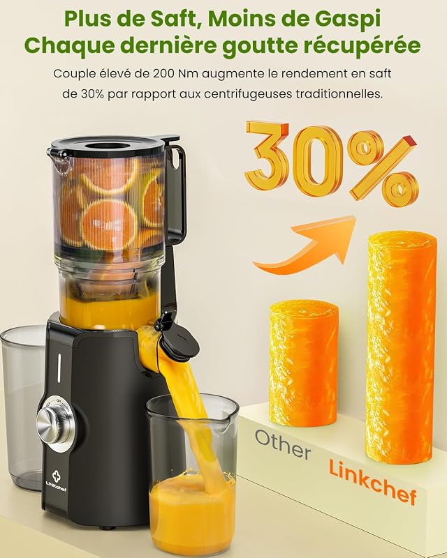 Entsafter Slow Juicer 200W Kaltentsafter für Obst & Gemüse