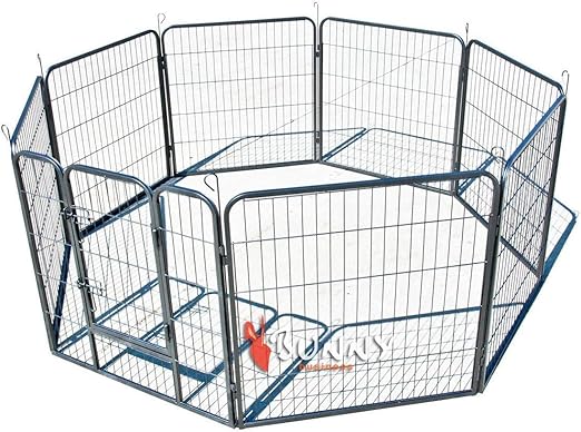 dogs eat cauliflower