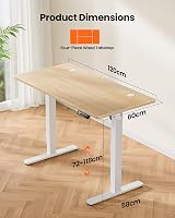 ErGear Electric Standing Desk 120 x 60 cm 4 Memory Panel Sit Stand Desk view 6