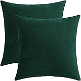Jeneoo Decorative Hunter Green Throw Pillow Covers Rustic Farmhouse Super Soft Square Chenille Comfy Solid Cushion Couch Cases for Sofa Bedroom Chair (Set of 2, 18 x 18 Inches)
