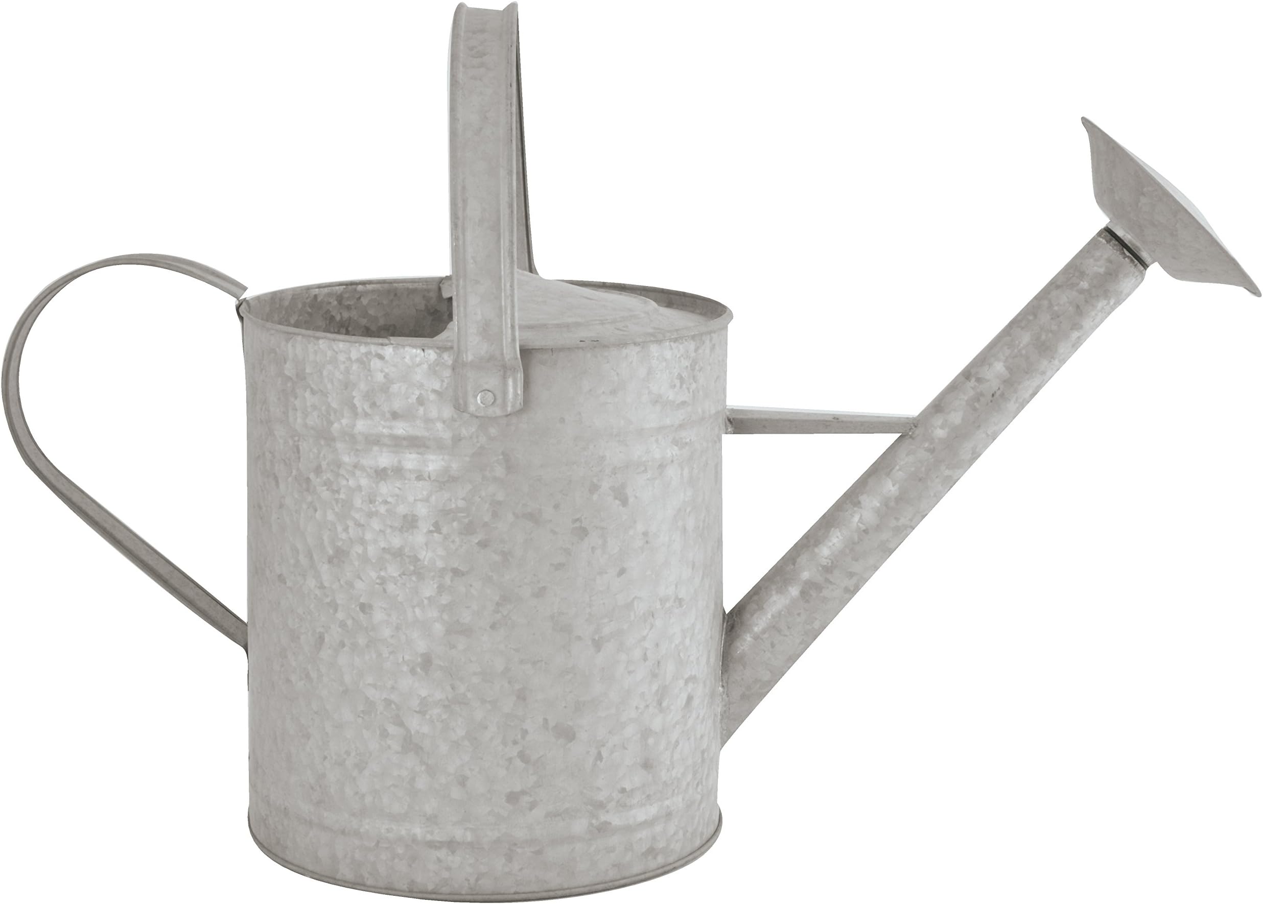 Fallen Fruits OZ46 5 Litre Old Zinc Watering Can, Grey (Zinc)