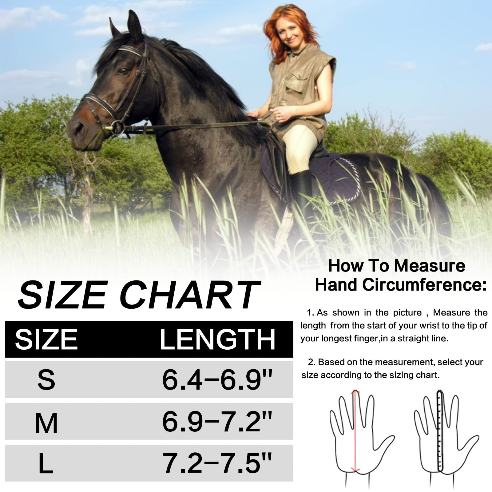 View 6