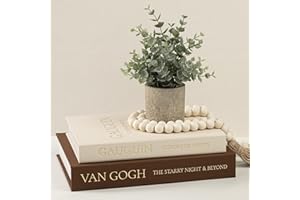 Fveuc Decorative Books for Home Decor - Stackable Faux Book Box for Coffee Table Styling & Hidden Storage - Neutral Linen Fake Books as Display Riser for Shelf & Entryway (Set of 2, Van Gogh Art)