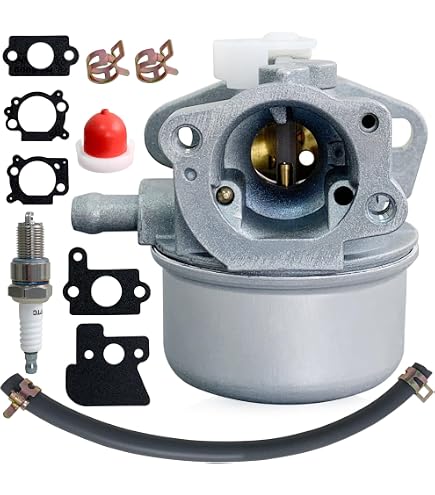 Amazon.com: Carburetor For Briggs & Stratton 121602-0269-E1 121602