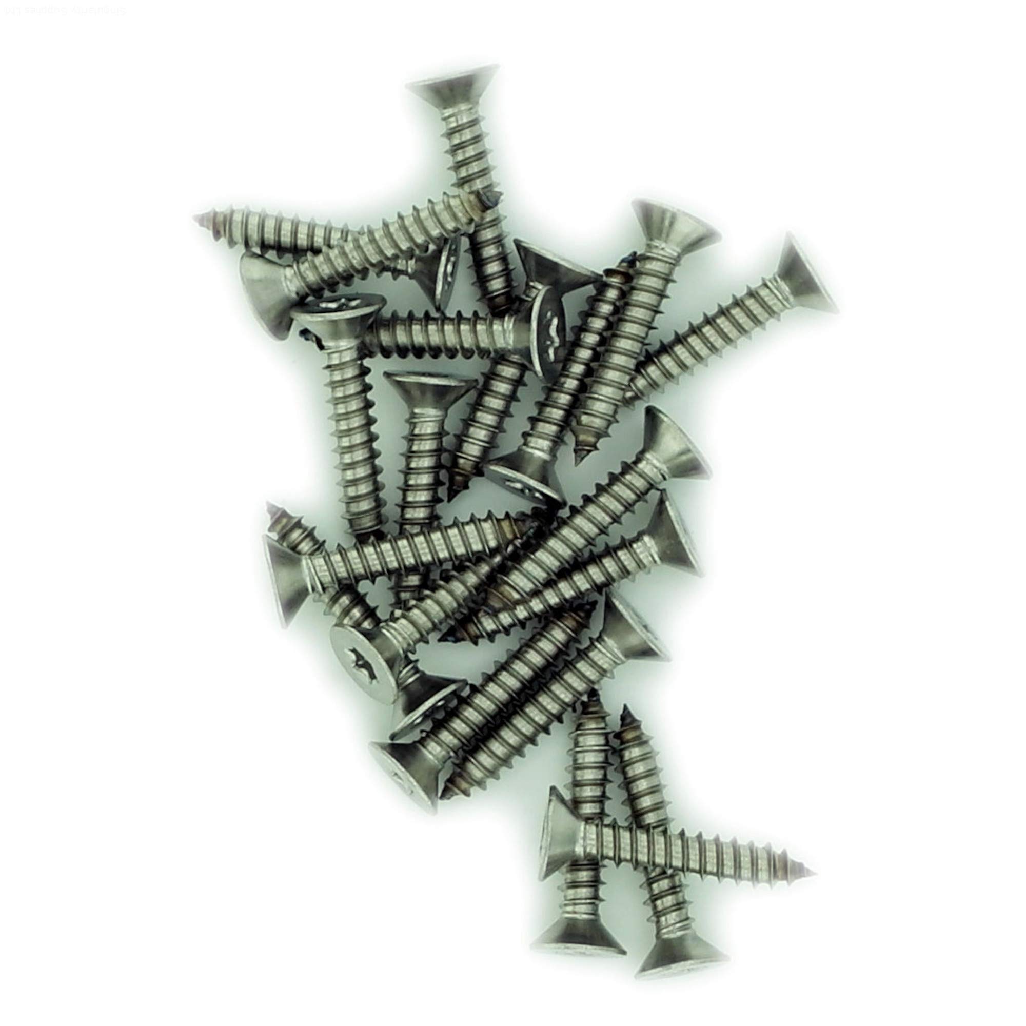 No.12 x 2.35 (5.5mm x 60mm) TX Countersunk Self-Tapping Screw - Stainless Steel (A2) (Pack of 20)