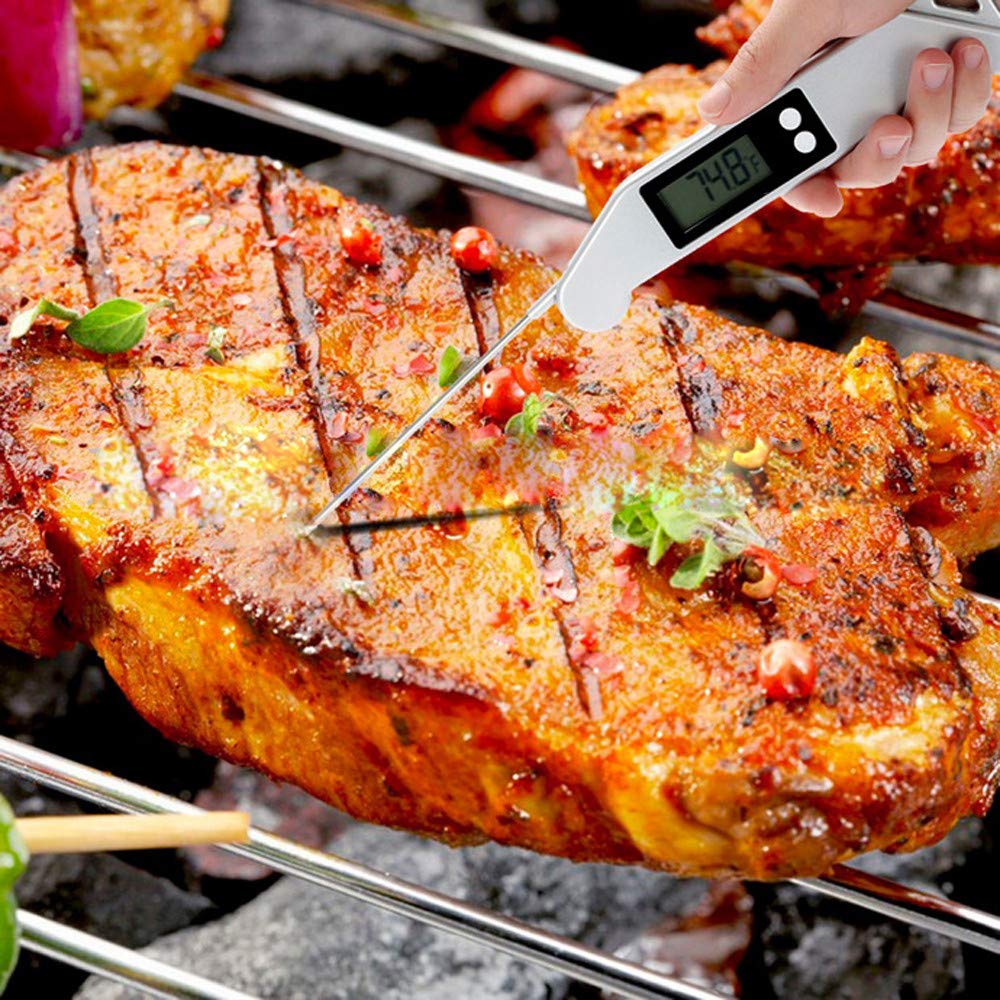 Which Is The Best Pop Up Meat And Oven Thermometer
