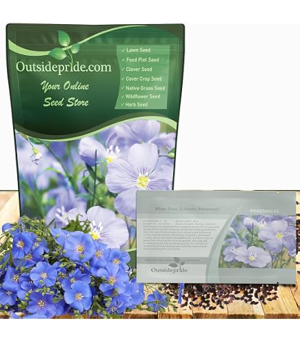 Dame's rocket, Hesperis matronalis, is a herbaceous plant species in