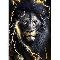 Amazon.com: NAIMOER Lion Diamond Art Kits for Adults, 5D Lion 
