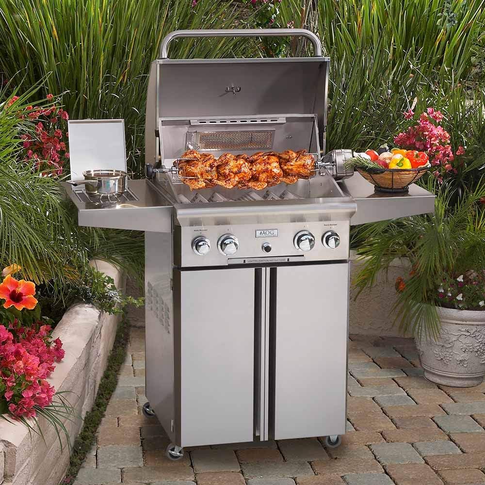 review American Outdoor Grill 24NCL L-Series 24 inch Natural Gas Grill On Cart Side Burner Rotisserie Kit