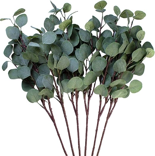 dollar store plants in aquarium