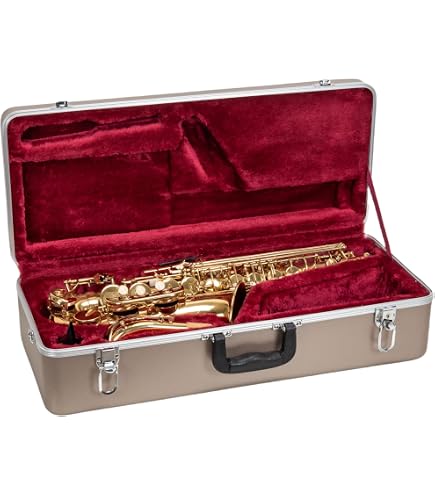 Amazon.com: SKB Euphonium Case : Musical Instruments