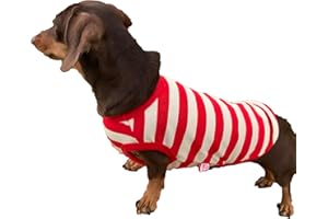 D DOGGY STAR Dachshund Clothes for Dogs Mini and Adults T Shirts (S,Stripe Red/Ivory)