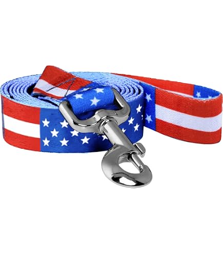 Buckle-Down Hundeleine Mit Colorado Flag Design – 4 Fuß Lang, 1,5 Zoll Breit, Aus Nylon, USA