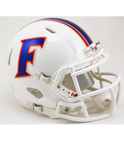 Riddell NCAA Florida Gators Matte Blue Speed Mini Football Helmet : Sports & Outdoors