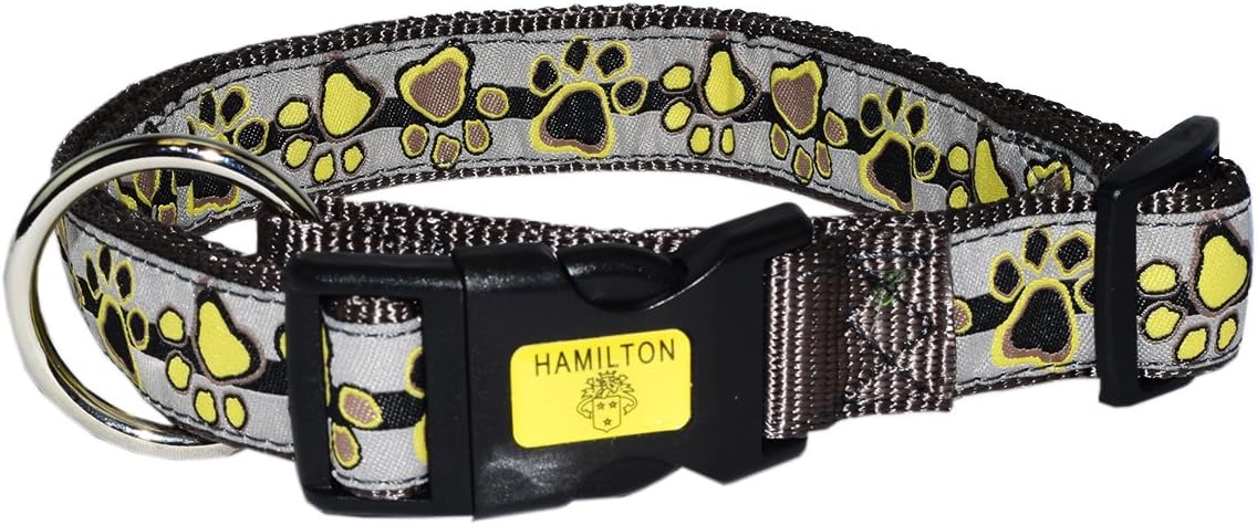 neon yellow dog collar