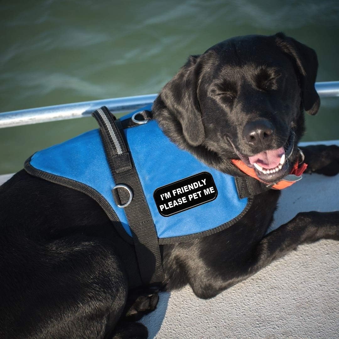 therapy dog please pet me