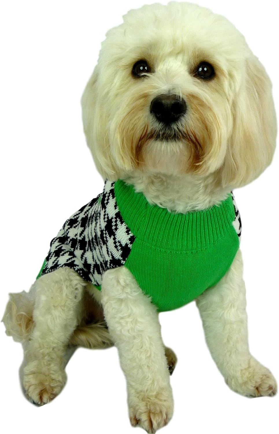 green dog jumper