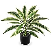 Oairse Artificial Plants Indoor with Pot, 18" Fake Potted Plants Medium Artificial Dracaena Plant in Black Pot Faux Tropical Plants for Bathroom Living Room Office Desk Shelf Decor