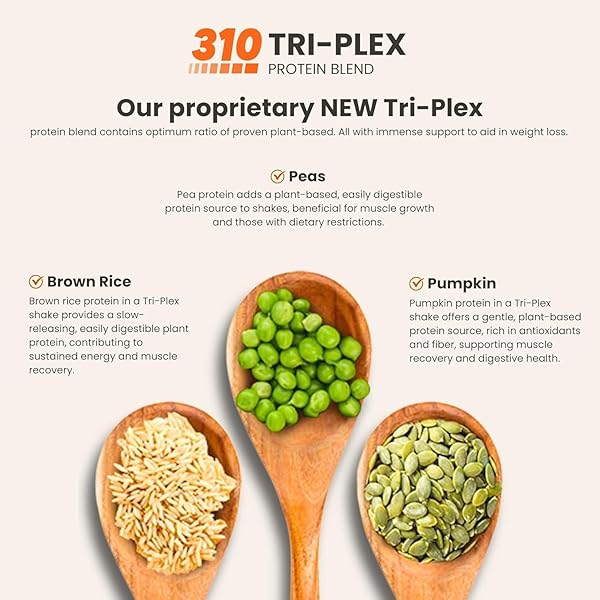 310 NUTRITION ALL-IN-ONE MEAL REPLACEMENT SHAKE-SUPERFOOD PROTEIN WITH FIBER, PROBIOTICS & ADAPTOGENS – LOW CARB, VEGAN, KETO & PALEO FRIENDLY –𝟭𝟰 𝗦𝗲𝗿𝘃𝗶𝗻𝗴𝘀 𝗖𝗵𝗼𝗰𝗼𝗹𝗮𝘁𝗲 𝗕𝗹𝗶𝘀𝘀