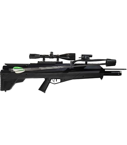 Amazon.com : Benjamin AB6PKA Pioneer Airbow Arrow Pack : Sports