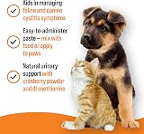 VETIQ Urinary Care Paste Supplement Cranberry 100 g for Dogs & Cats view 3