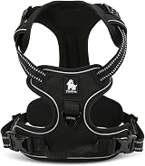 Truelove TLH5651 No-Pull Reflective Stitching Dog Harness Large Black view 4