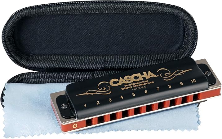 Cascha Mundharmonika G Dur Anfanger U Fortgeschrittene I Hochwertige 10 Loch Diatonische Harmonika Hervorragender Klang I Perfekte Aufbewahrung U Pflege Mit Blues Harmonika Softcase U Putztuch Amazon De Musikinstrumente