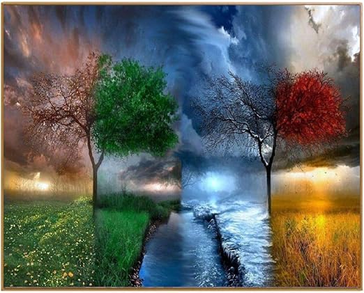 puzzles paisajes amazon