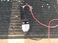 Review Image by Pete in Iowa Pete in Iowa