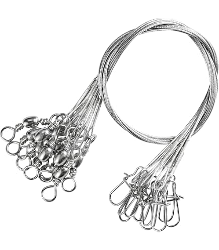 Fishing Leader Rig Wire Trace Stainless Steel Leader Wire Rigging Lure  Tackle with Swivel Snaps Beads High-Strength Fishing Wire 2 Arms / 3  Arms(2Arms-12pcs) : Amazon.ca: Sports & Outdoors