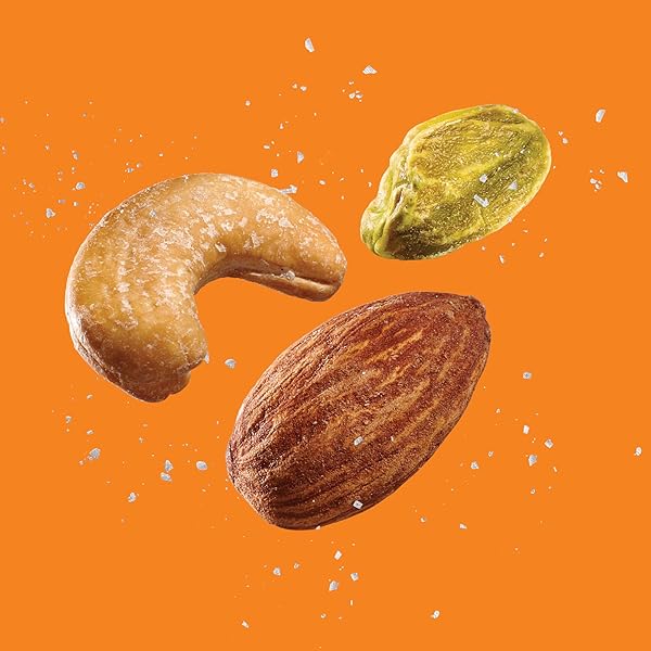BACK TO NATURE PREMIUM NUT MIX – CASHEW, ALMOND & PISTACHIO BLEND, DRY ROASTED WITH SEA SALT, NON-GMO HIGH PROTEIN SNACKS, 9 OUNCE