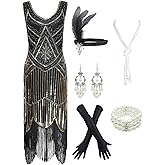 1920s Gatsby Sequin Fringed Paisley Flapper Dress with 20s Accessories Set