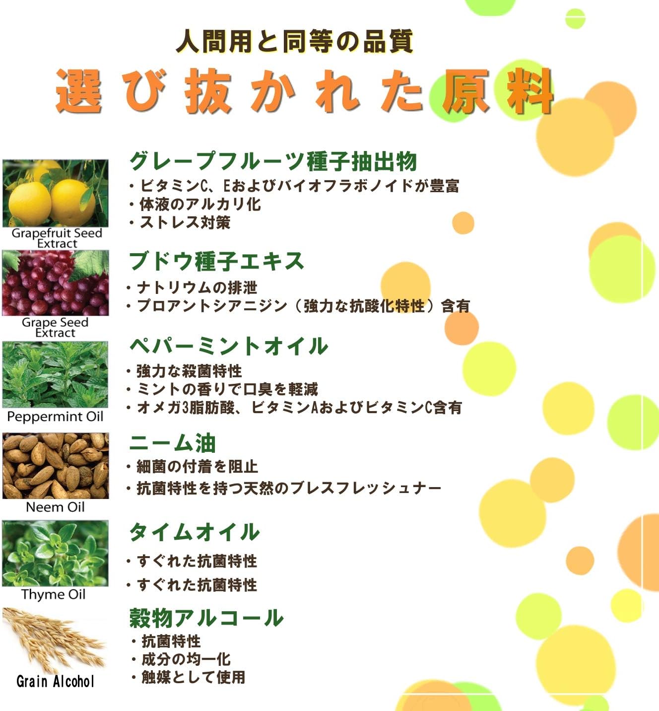 Amazon Co Jp Petzlife ペッツライフ オーラルケアジェル ペット用デンタルケア ペパーミント味 大容量 354ml 犬猫両用 ペット用品