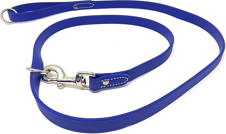 blue dog collar and lead
