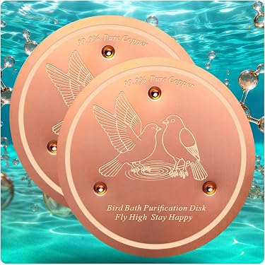 Disque Nettoyant En Cuivre Pour Bain D'oiseaux - Purificateur D'eau Naturel, 10x10 Cm, Pour Jardin Et Balcon