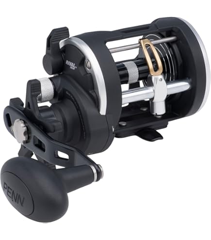 Amazon.com : PENN Squall II Lever Drag Fishing Reel, Size 30