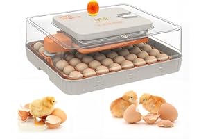 HAMMRIT 56 Egg Incubator, Fully Automatic Incubator for Hatching Eggs, Egg Incubator with Automatic Egg Turning and Humidity Control, Can Adjust The Size, Hatching Chickens, Quails, Ducks, Pigeons