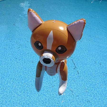 chihuahua pool float