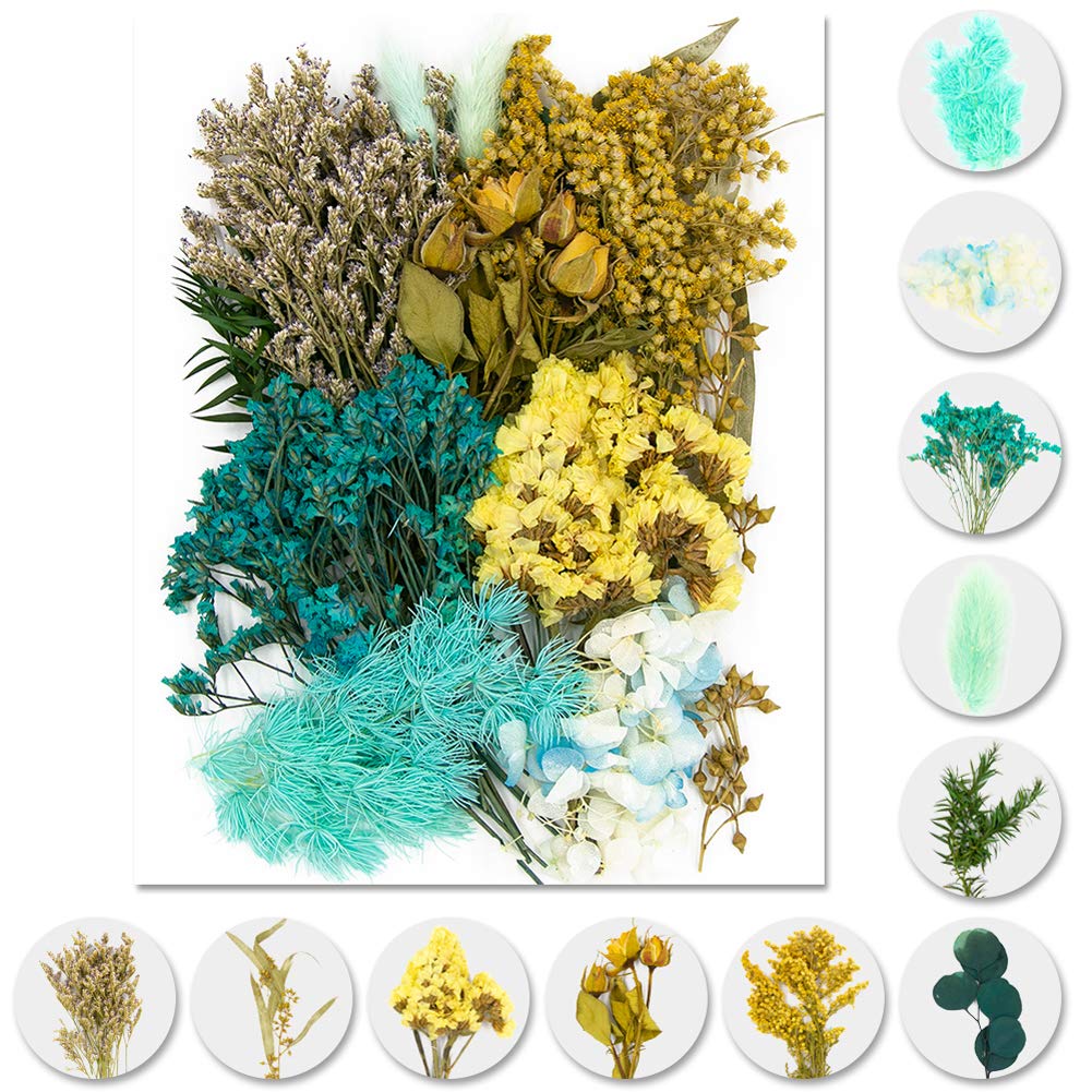 iDattel Natural Dried Flowers, DIY Dried Flower Set for Arts & Crafts, Resin Jewelry, Cards Making (Blue)