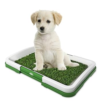 Pets Empire The Indoor Restroom Puppy Potty Trainer (Colour May Vary)