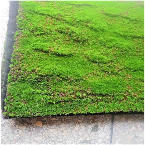 Amazon Co Jp Ping 人工苔芝 布の傷と芝 盆栽苔ベース装飾 ウィンドウの背景の壁のマイクロランドスケープシミュレーション芝を表示 1m 2m ホーム キッチン