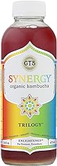GTS LIVING FOODS Trilogy Enlightened Kombucha, 16 FZ
