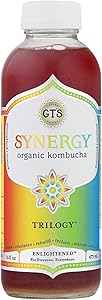 GTS LIVING FOODS Trilogy Enlightened Kombucha, 16 FZ
