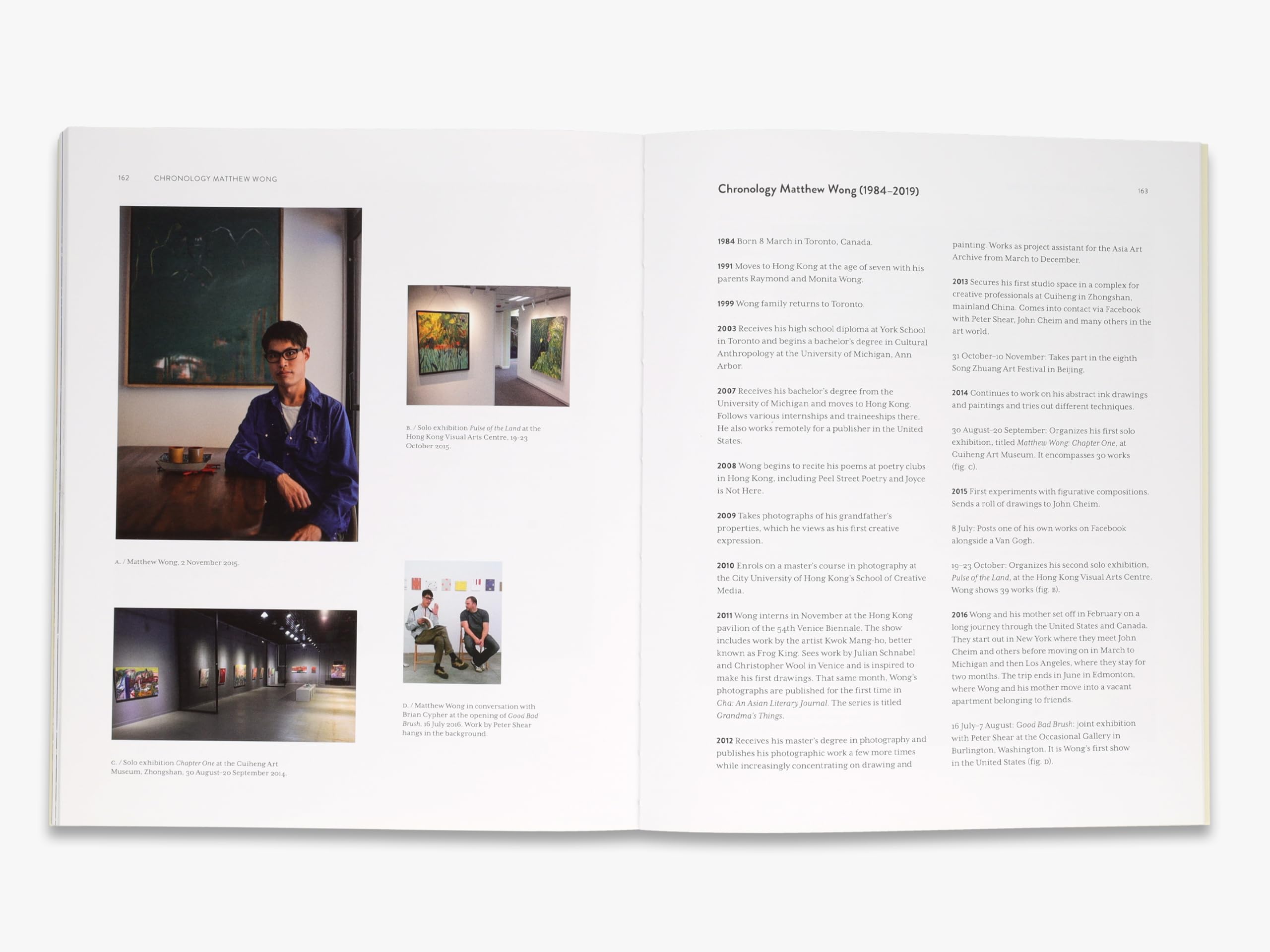 Matthew Wong - Vincent van Gogh: Painting as a Last Resort