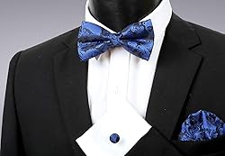 Alizeal Mens Paisley Bow Tie, Pocket