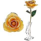 24K Rose, Dipped Gold Rose Love Real Golden Plated Preserved Eternal Flower with Rose Stand Present for Wife/Girlfriend/Daughter (Peach)
